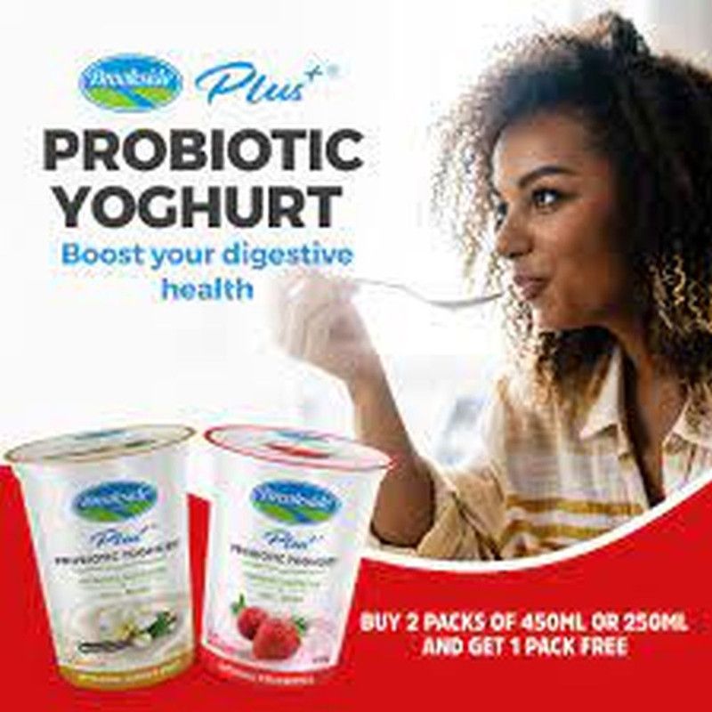Brookside Probiotic Vannila Yght 250G
