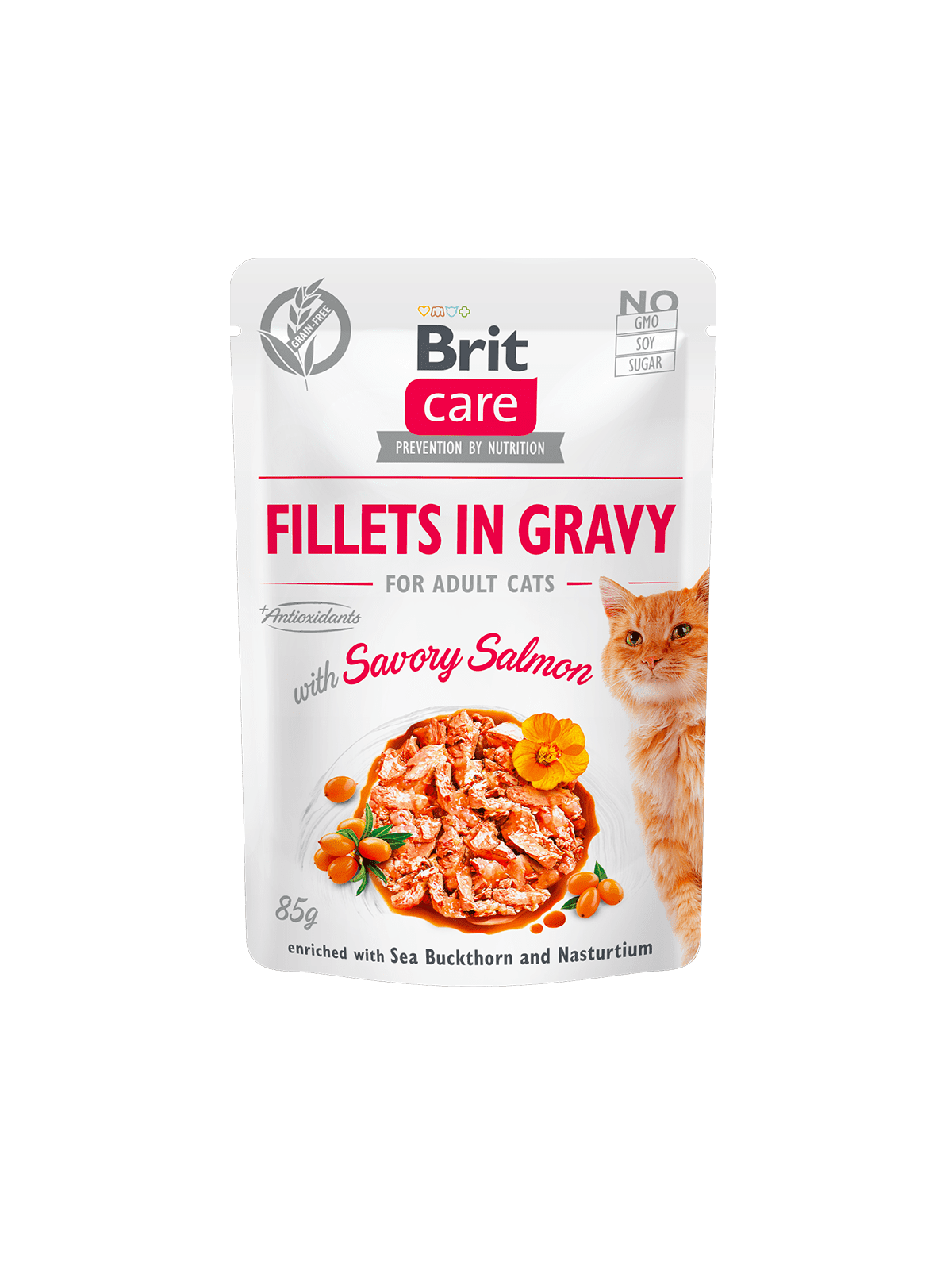 Aliments Humides Chats