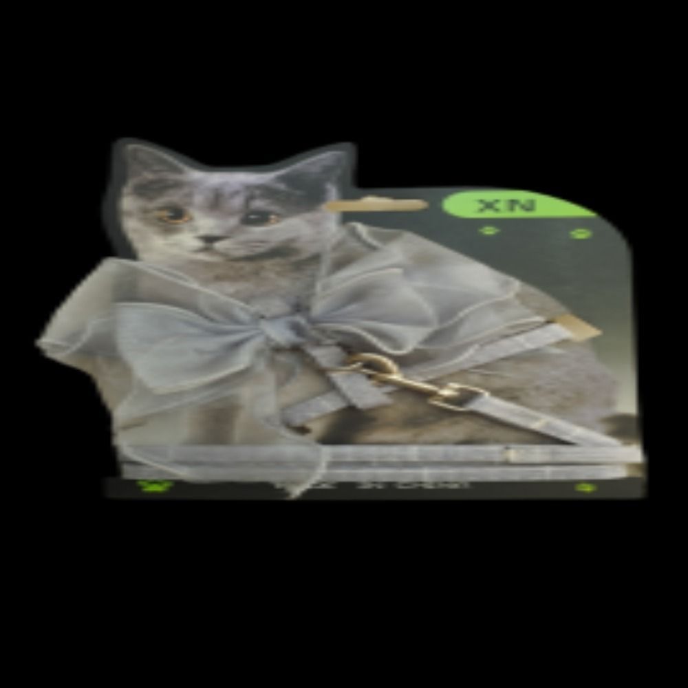 Collier Laisse et Harnais