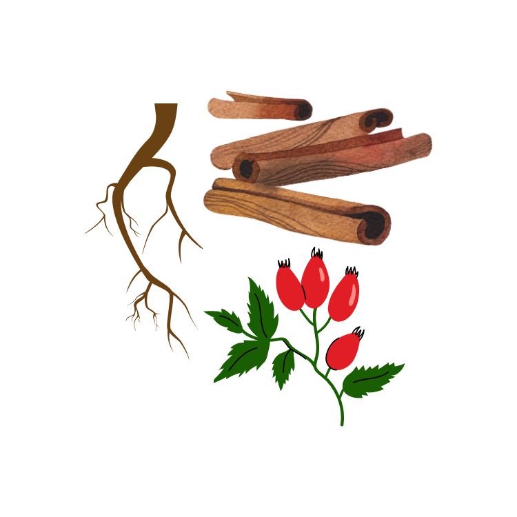 Корни, коры и плоды