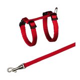 Поводок + шлея для кошенят кольоровий