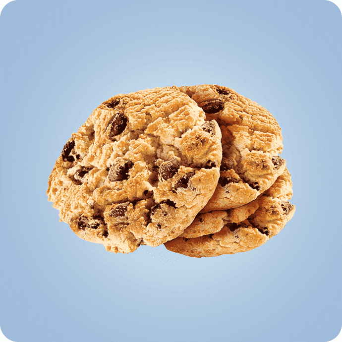 ორცხობილა და ბისკვიტი