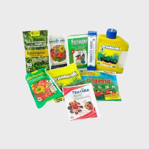 Сад и растения