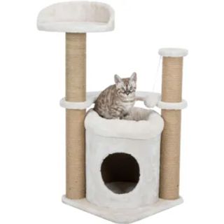 საფხაჭნი ბოძი - Nayra (44436)