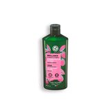 Шампунь СТОЙКОСТЬ ЦВЕТА с Малиновым Уксусом - Без Cульфатов - Для окрашенных или тусклых волос, 300мл