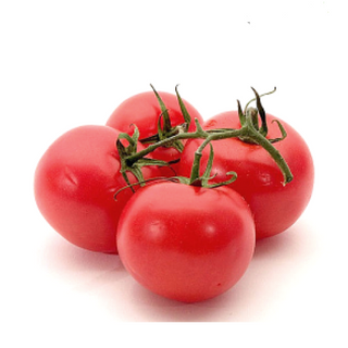 Լոլիկ Փնջով