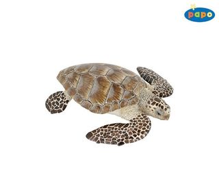 ზღვის კუ