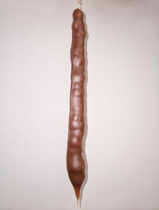 ჩურჩხელა ნუშით 1 ცალი