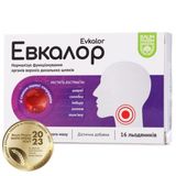 Евкалор Льод. Чорна Смородина №16 (8х2) Баум Фарм