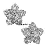 Пэстисы "Блеск лепестков" [Серебристый ] (23.1.40)