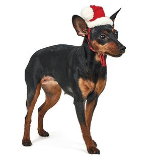 Ковпак новорічний M,S,XS