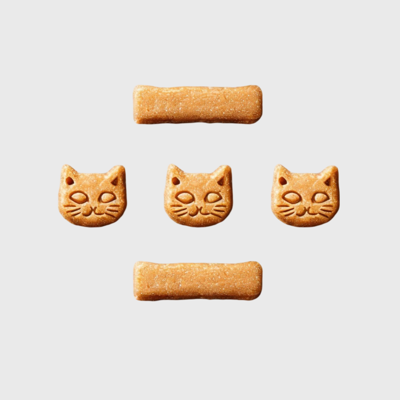 კატის სნექები