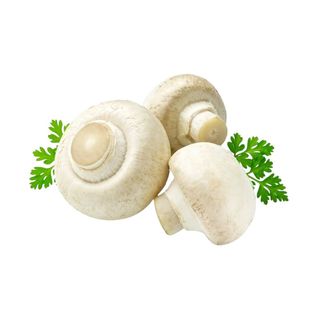 Грибы шампиньоны