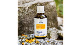 არნიკას ესენცია