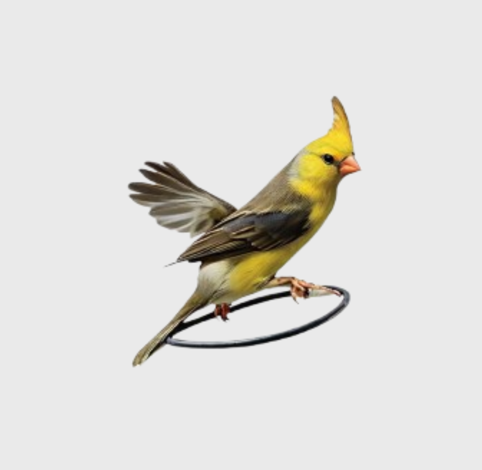 Թռչունների համար լցանյութ