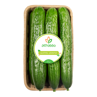 კიტრი ბაღის 900გრ პლანტა