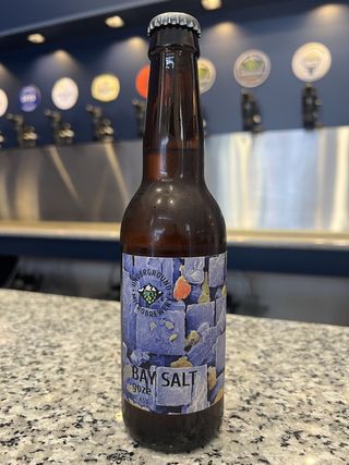 Bay salt gose 4.5% 0.33ლ ბოთლი