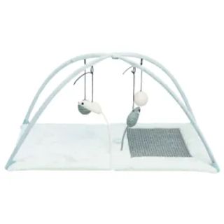 პატარა საფხაჭნი ნოხი (43114)