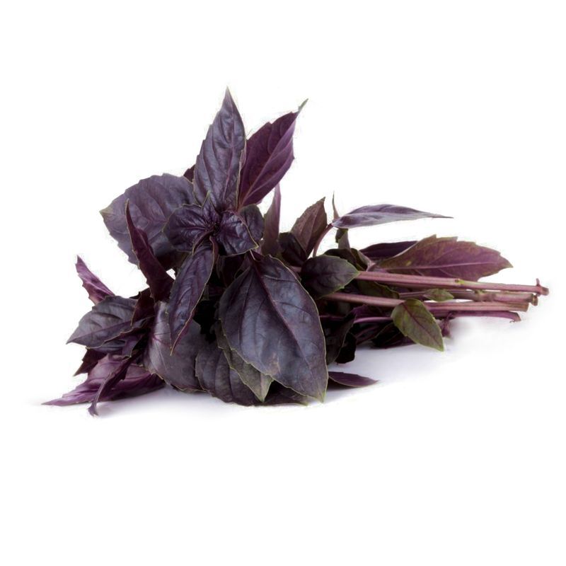 Зелень та салати