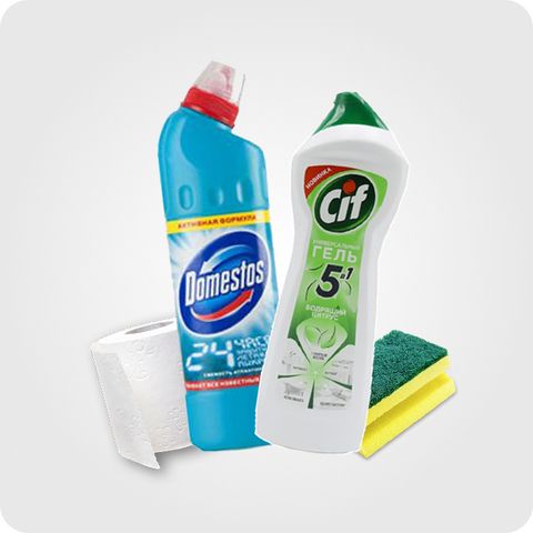 სახლის მოვლა