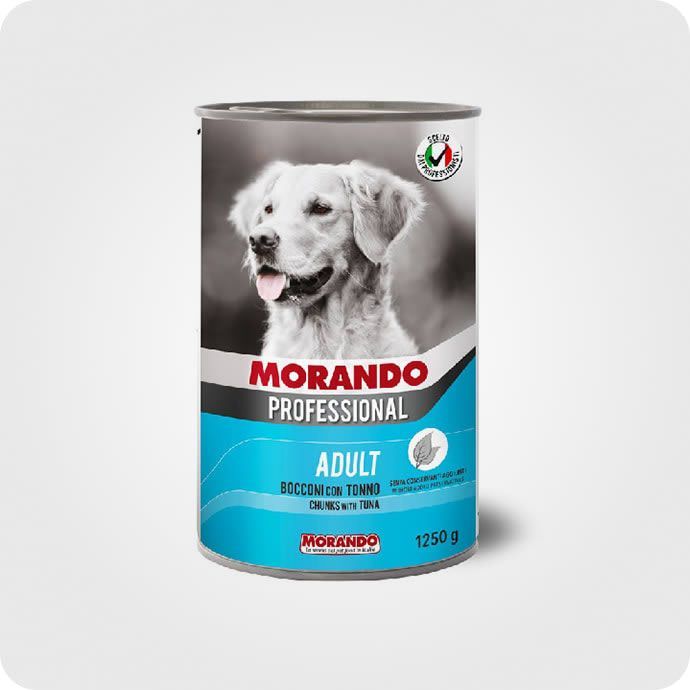 სველი საკვები ძაღლისთვის