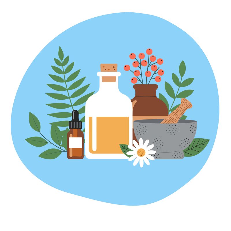 Травы, листья и цветки