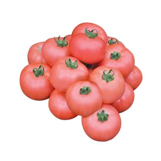 Томаты розовые казахстан