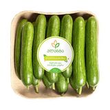 კიტრი დელიკატეზა 550 გრ - პლანტა