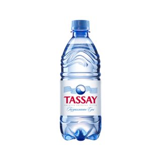 Минвода Tassay Б/Г Пэт, 0,5 л