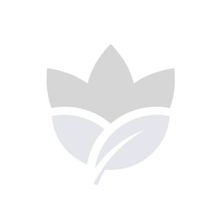 Подушка декоративна новорічна Пуансетія 45х45 см арт.25MA2481-4