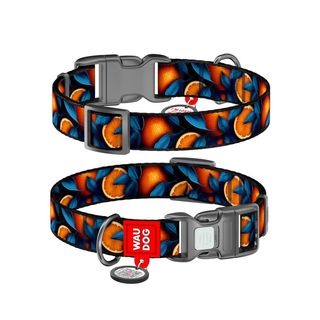 Нашийник WAUDOG Nylon для собак нейлоновий з QR паспортом малюнок Апельсини пластиковий фастекс М Шир 20 мм  Дов 28-40 см