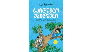 2 საიდუმლო შვიდეული  შვიდეულის ახალი თავგადასავალი