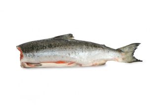 ГОРБУША СВЕЖЕМОРОЖ Б/Г П/П ВЕС