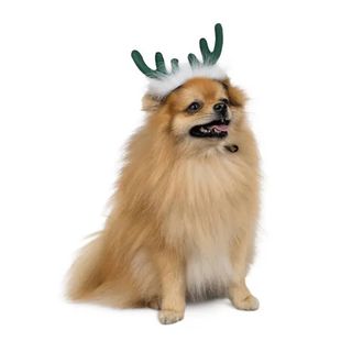 Аксесуар Pet Fashion Deer Для Собак M-L