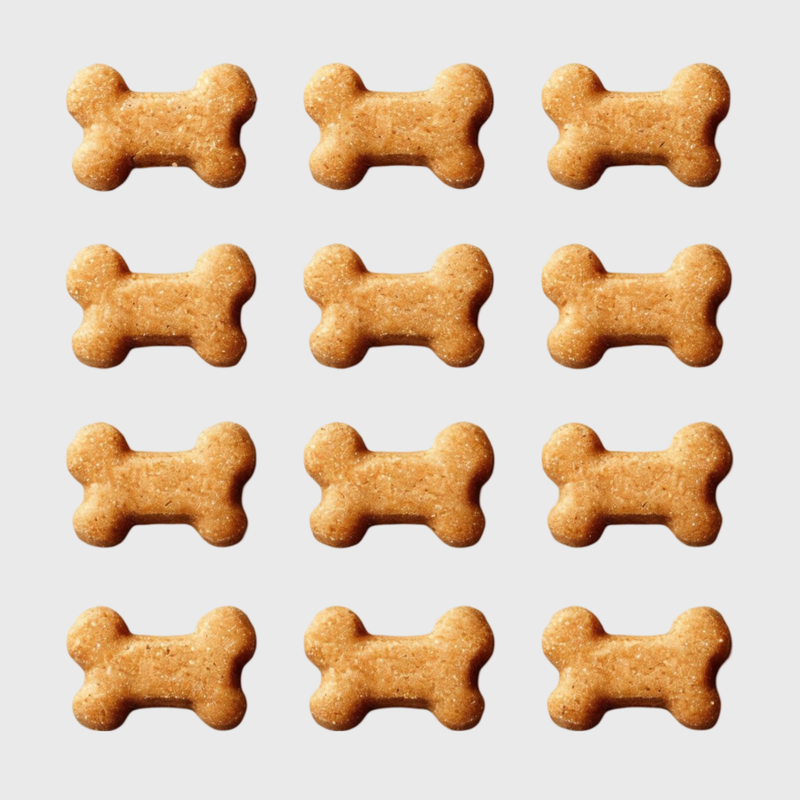 ძაღლის სნექები