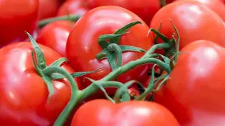 ყუნწიანი პომიდორი 500გრ