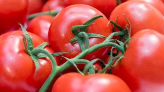 ყუნწიანი პომიდორი 500გრ