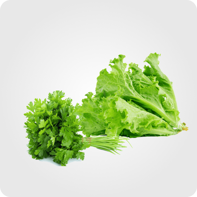 მწვანილი‎ ‎