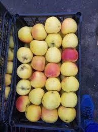 ვაშლი ბანანი 500გრ