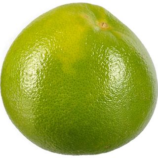 Свiтi (за 100 г.)