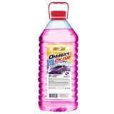 Омивач скла зимовий -22*С  ДИНЯ  ЭКЗОТИК   4л ТМ БРСМ