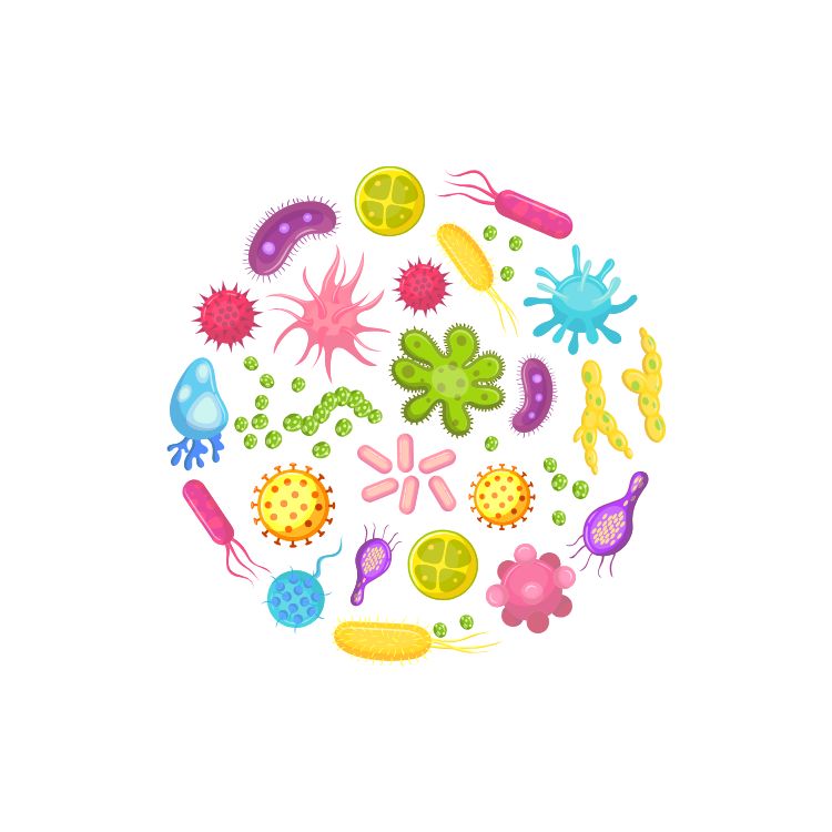 Противопротозойные