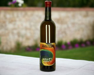 ხიხვი - რუისპირის მარანი / Khikhvi - Ruispiris Marani