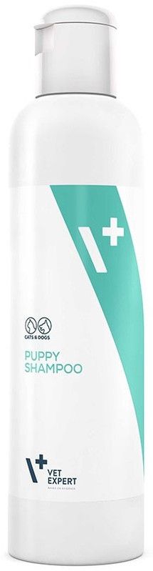 ძაღლის ჰიგიენა