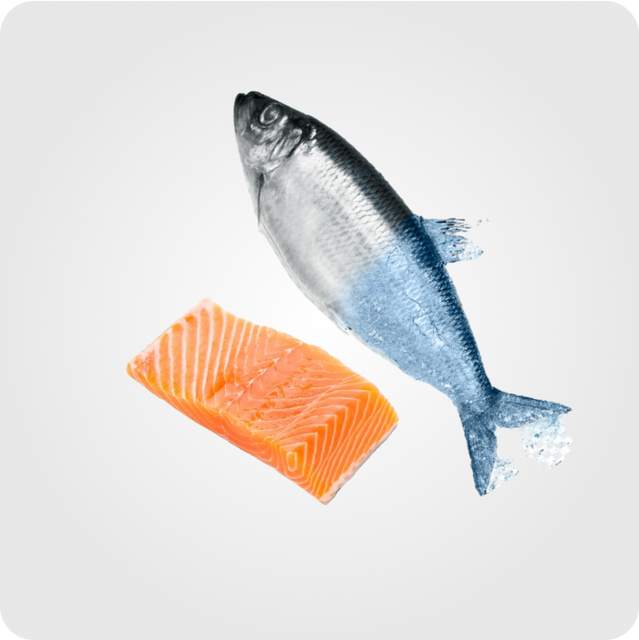 გაყინული თევზი.