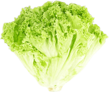 Салат Лола Біонда шт