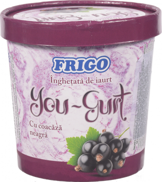 Морозиво FRIGO 300 г "Йо-гурт" Чорна смородина (Молдова) И533