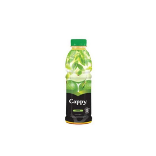 CAPPY წვენი ვაშლის 0.5ლ/5449000213884