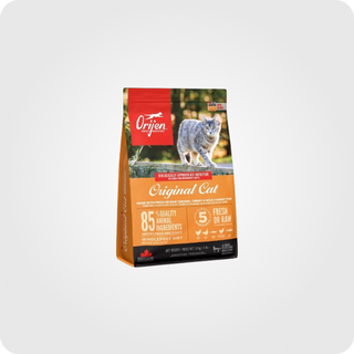ორიჟენი კნუტი და ზრდასრული კატა Original Cat 1.8 კგ