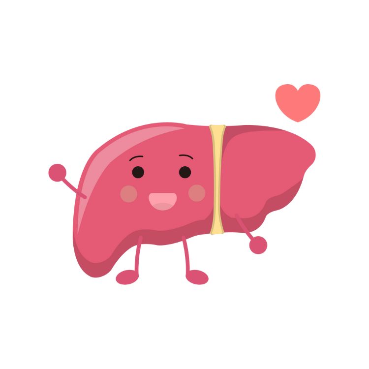 Для печени.